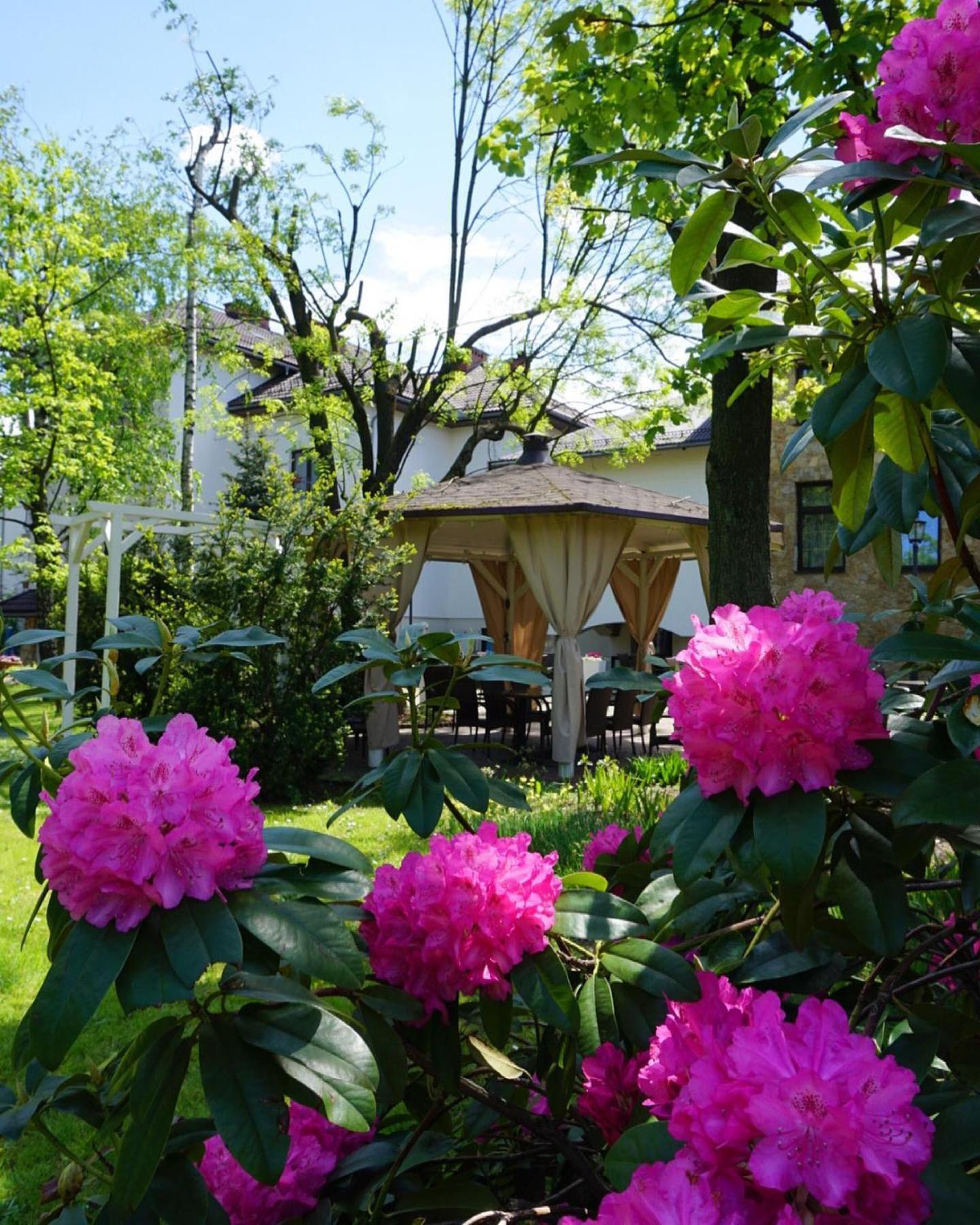 Hotel Victoria Olkusz Ngoại thất bức ảnh
